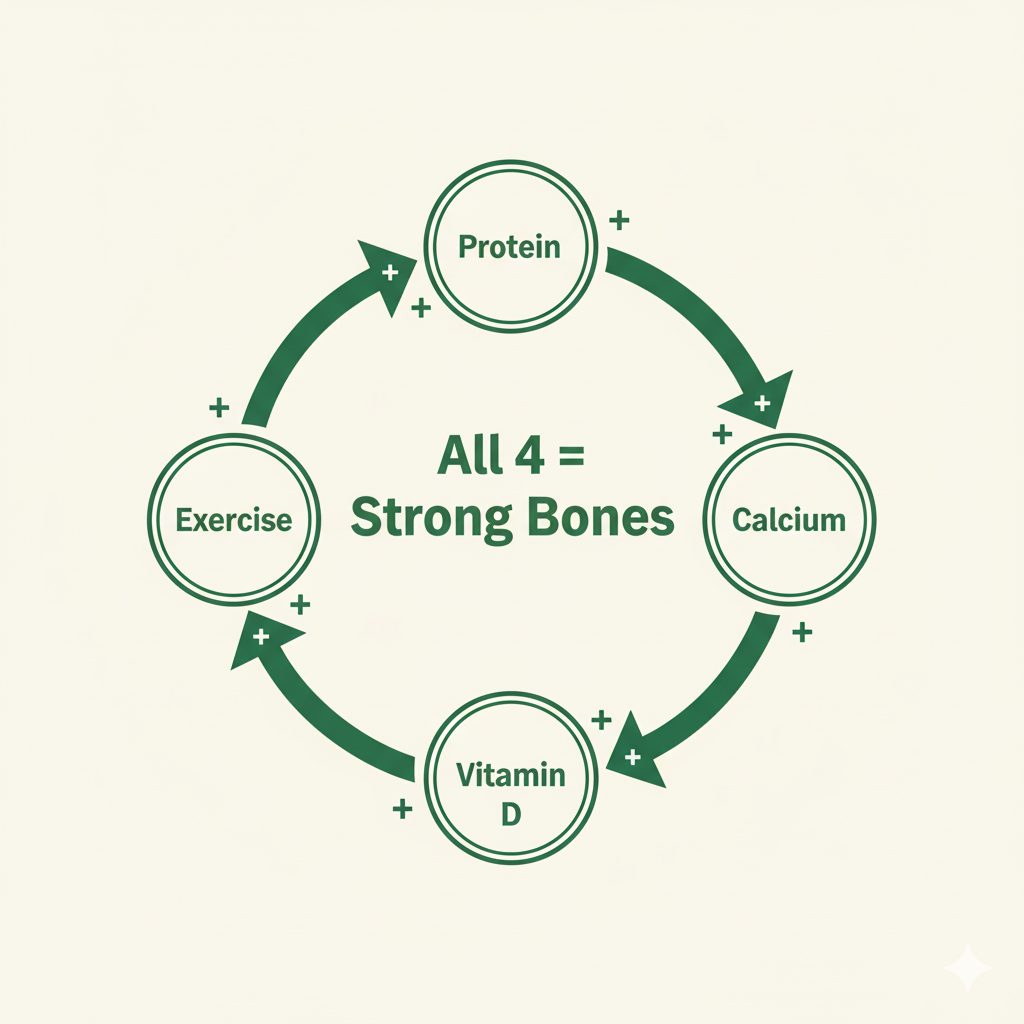 The 4-Component Bone Health Formula (Comprehensive Prevention Strategy)