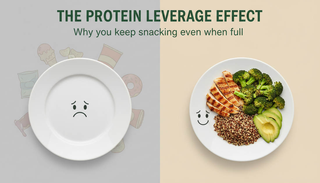 The Protein Leverage Effect: Why You Can't Stop Snacking