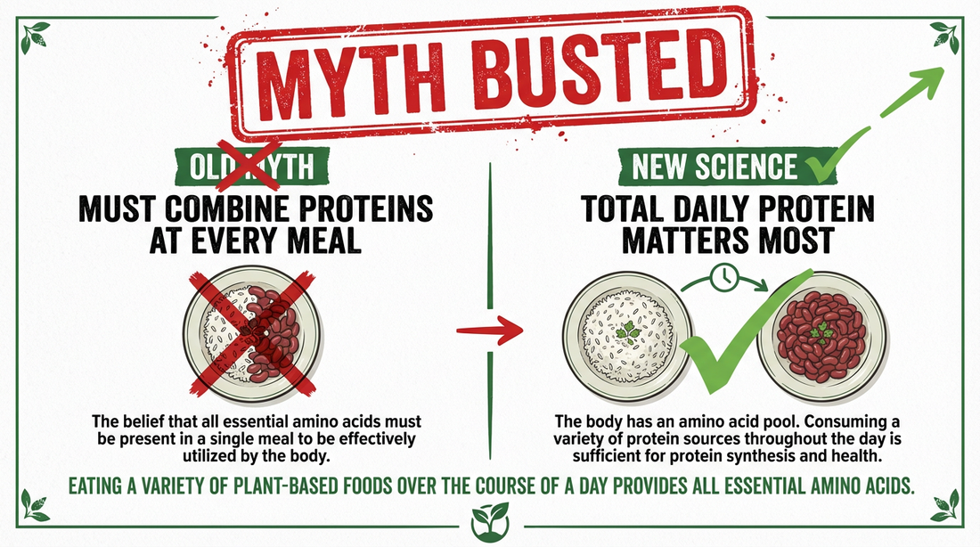 Complete Protein Myth Busted: New 2024 Research Changes the Rules
