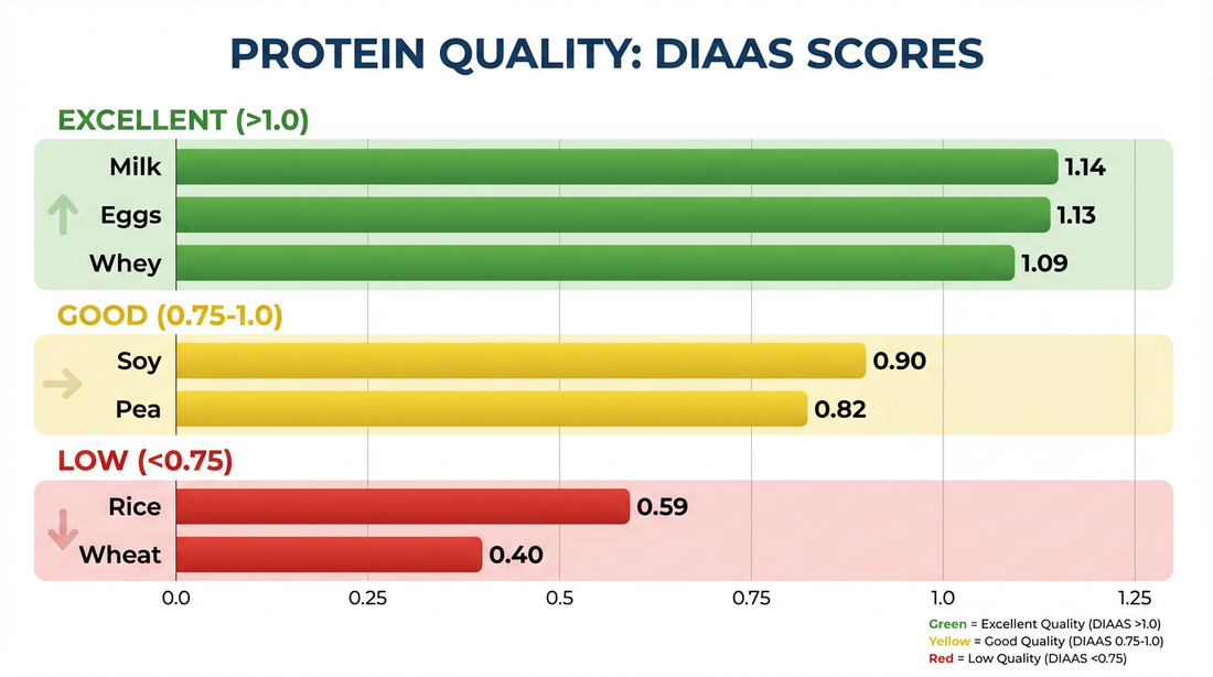 DIAAS Protein Scores: The Rating System That Reveals the Truth About Protein Quality